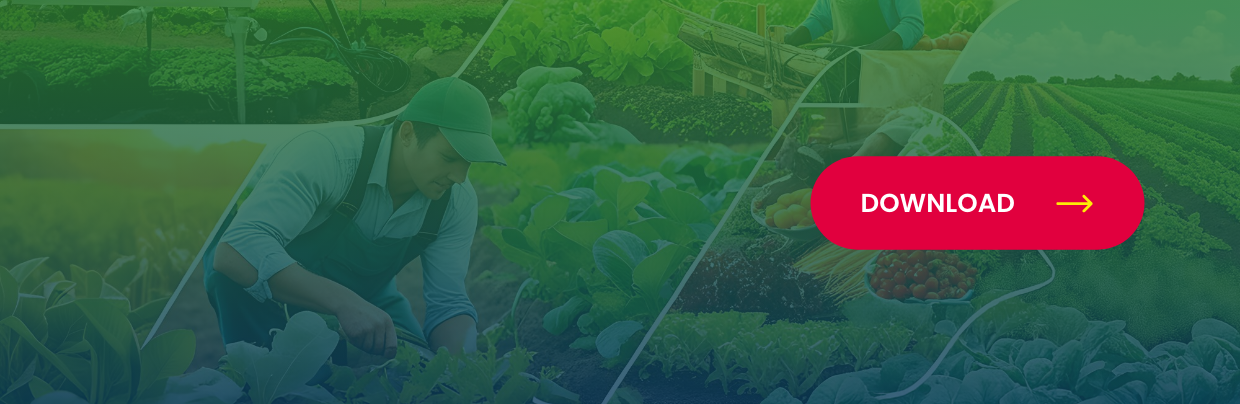 FROM INVISIBLE TO VISIBLE: BUILDING AN AGRICULTURE BRAND Case Study by Moris Media