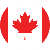 icon flag