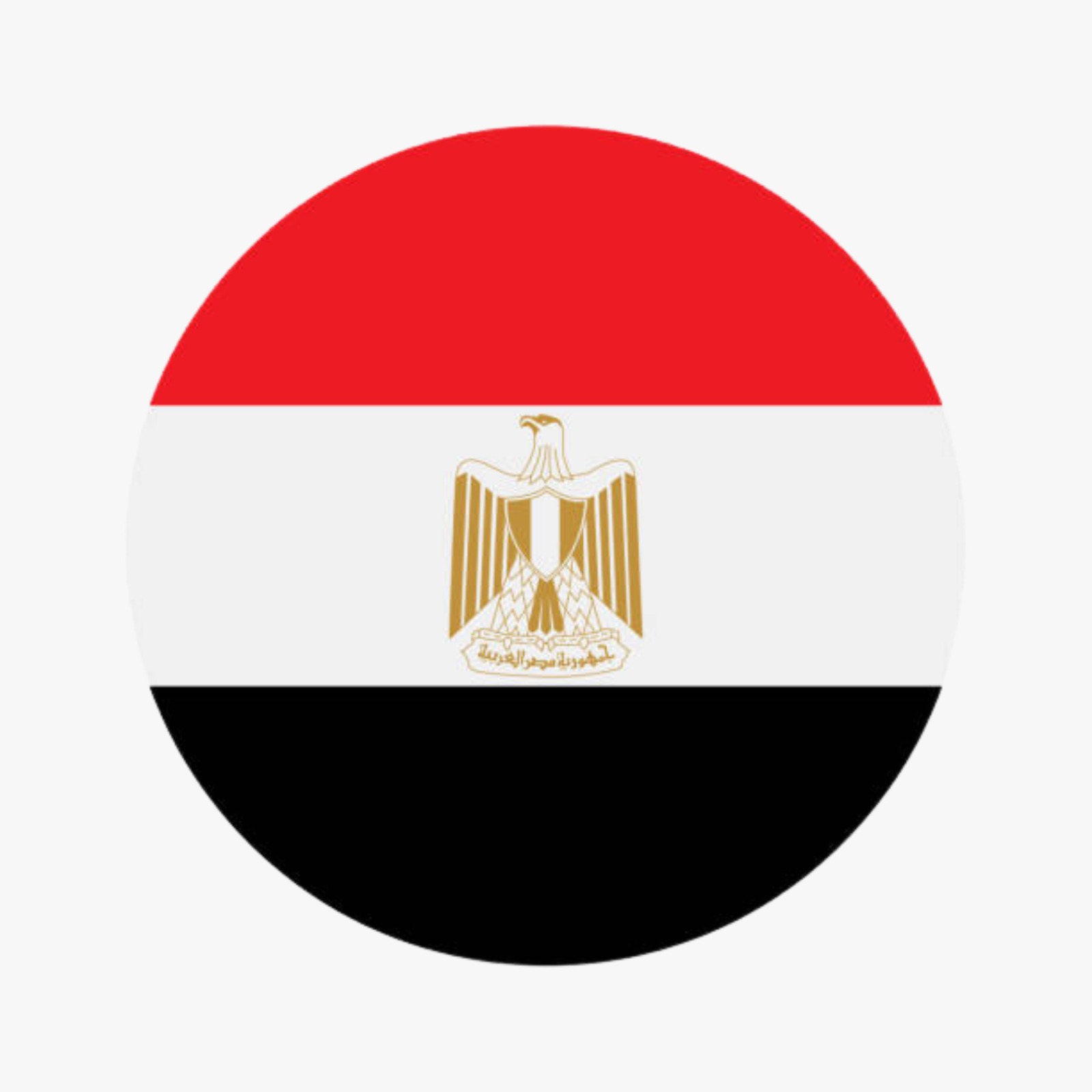 icon flag